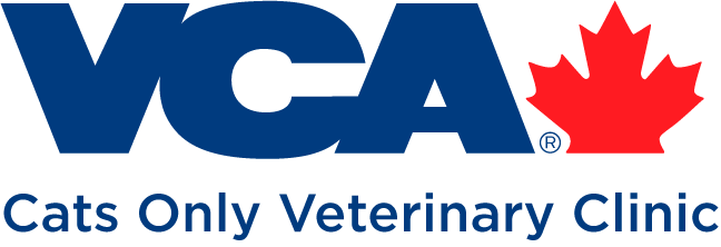 Cats-only-veterinary-clinic-logo