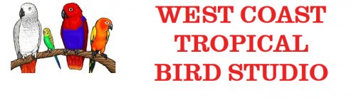 West-coast-tropical-logo