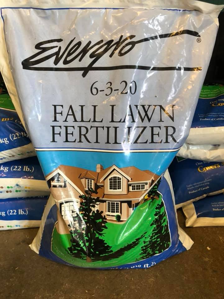 Evergro-lawn-fertilizer